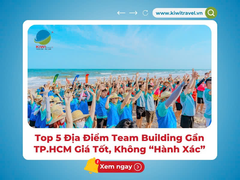5 Địa Điểm Team Building Gần TP.HCM Giá Tốt, Không “Hành Xác”