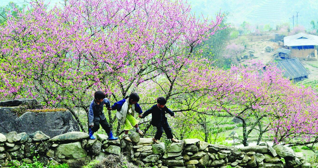 LỊCH KHỞI HÀNH TOUR NỘI ĐỊA TẾT 2024