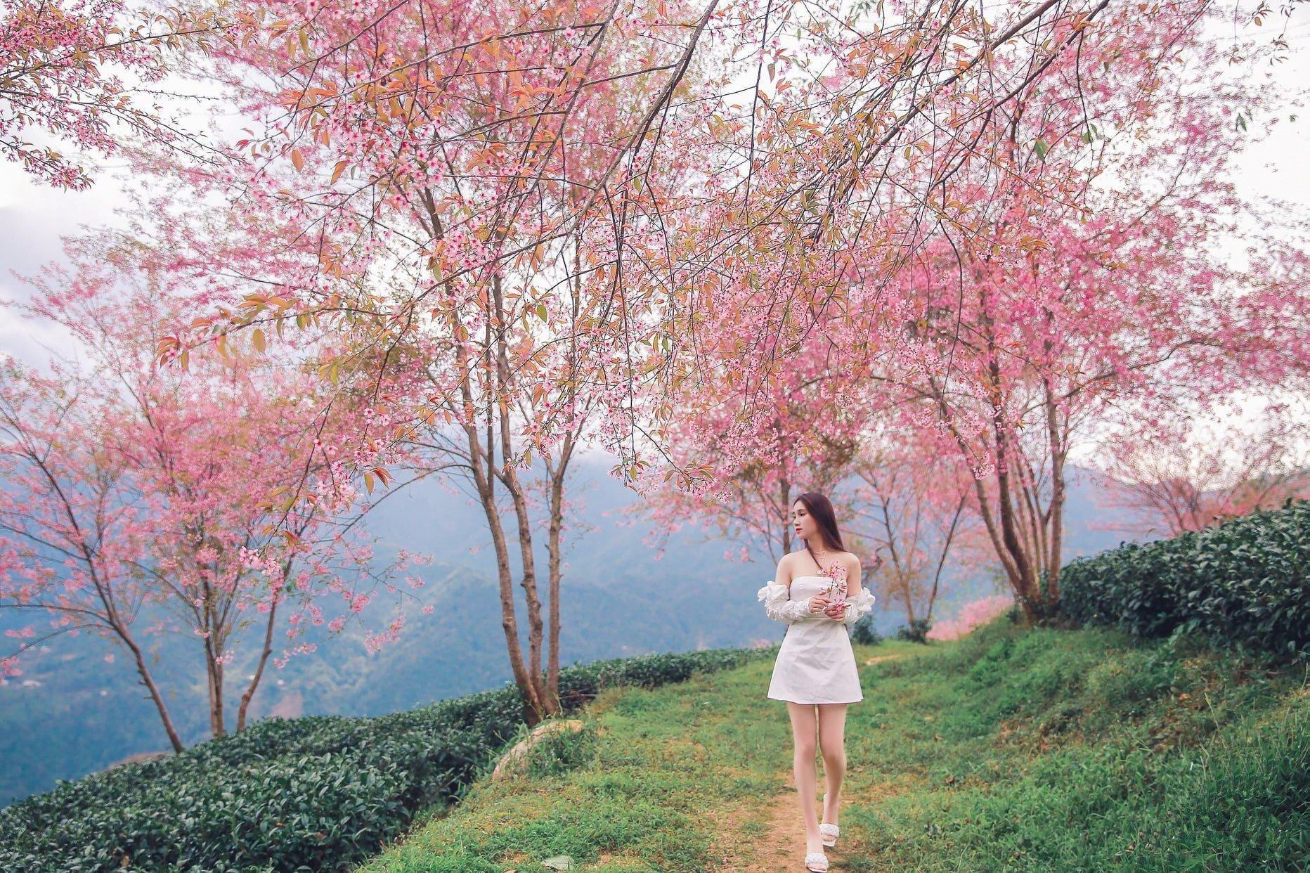 LỊCH KHỞI HÀNH TOUR NỘI ĐỊA TẾT 2024