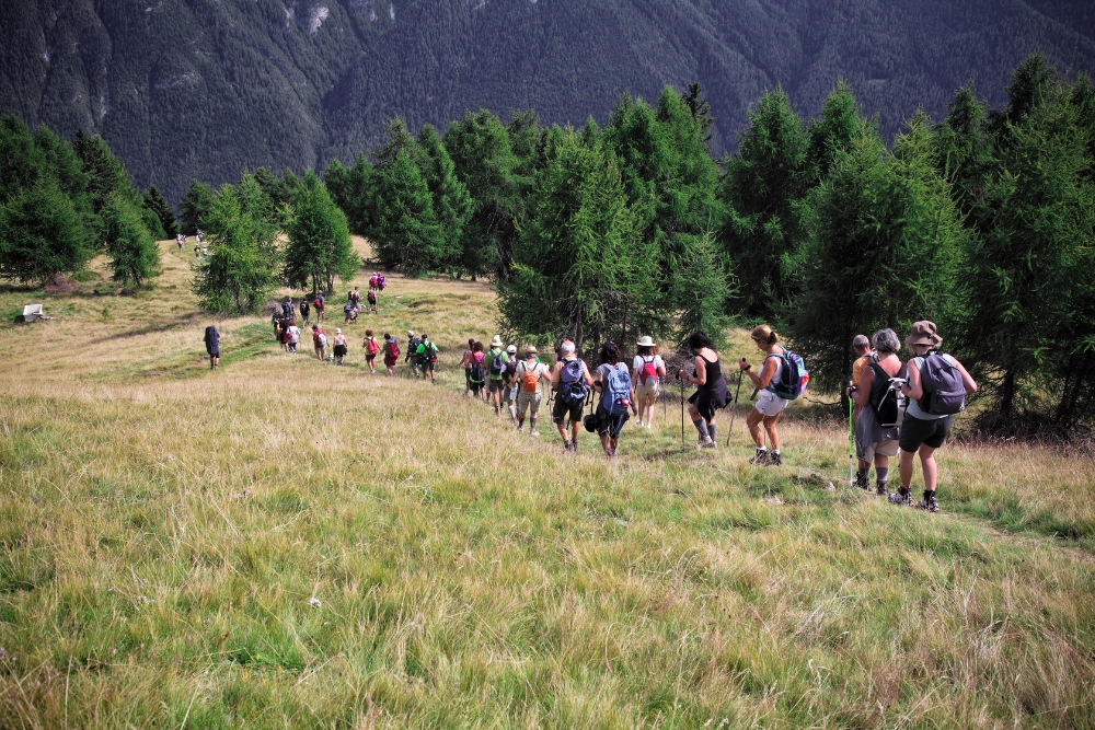 Trekking là gì? Top 5 tour trekking gần TPHCM - phù hợp với dân văn phòng